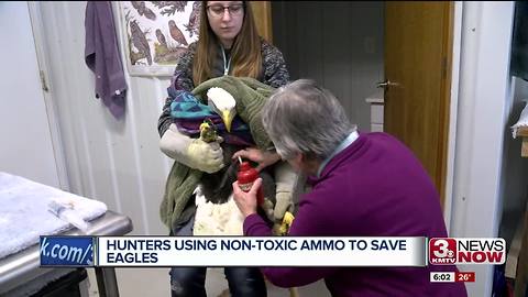 Hunter no longer uses lead ammo after seeing eagles hurt