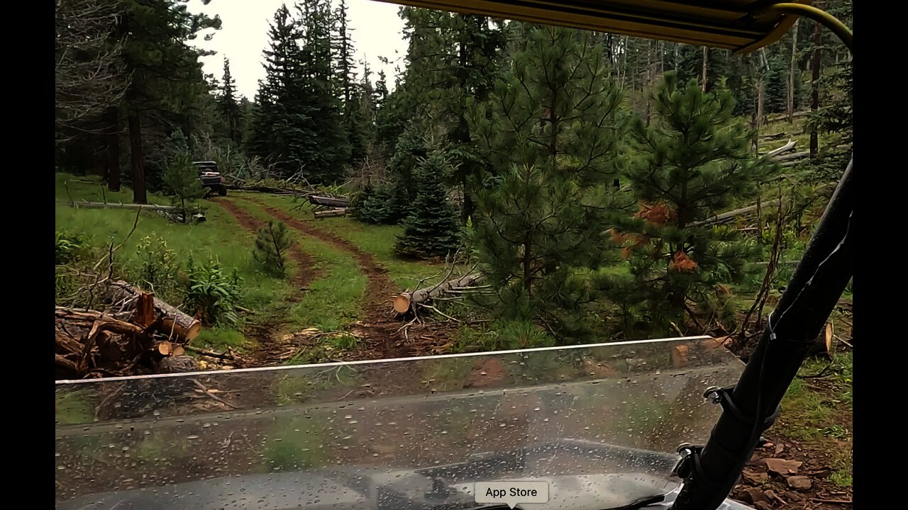 UTV trail ride white mountain Arizona