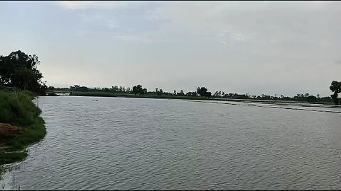barish
