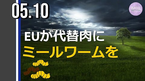 EUが 代替肉にミールワーム（幼虫）を＝WEFが推奨