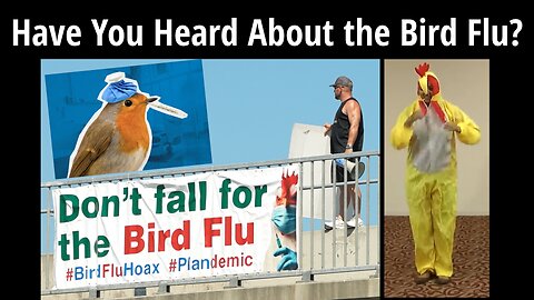 Have You Heard About the Bird Flu?