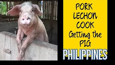 PORK LECHON COOK: Getting the Pig