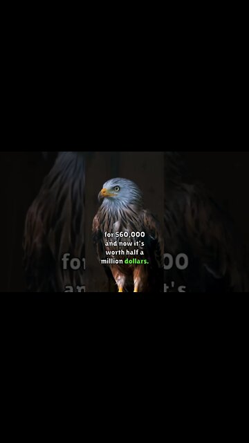 Times have changed. Make sure you adjust 🚀 Andrew Tate 🎙️💸 #financialplanning #podcast