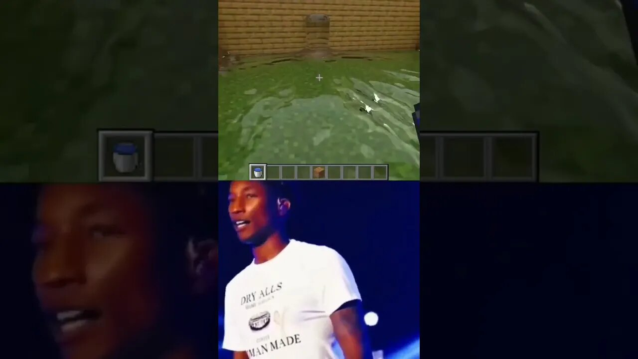 Minecraft NORMAL vs REALISTIC shorts minecraft viral