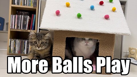 More balls play