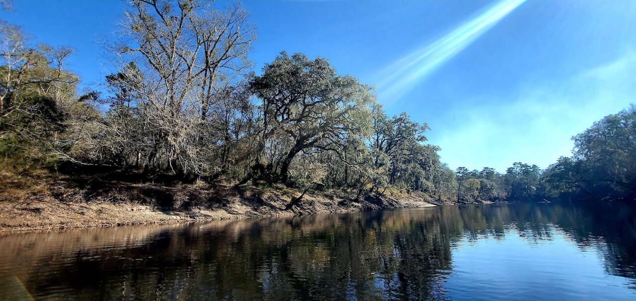 Suwannee River State Park 2021