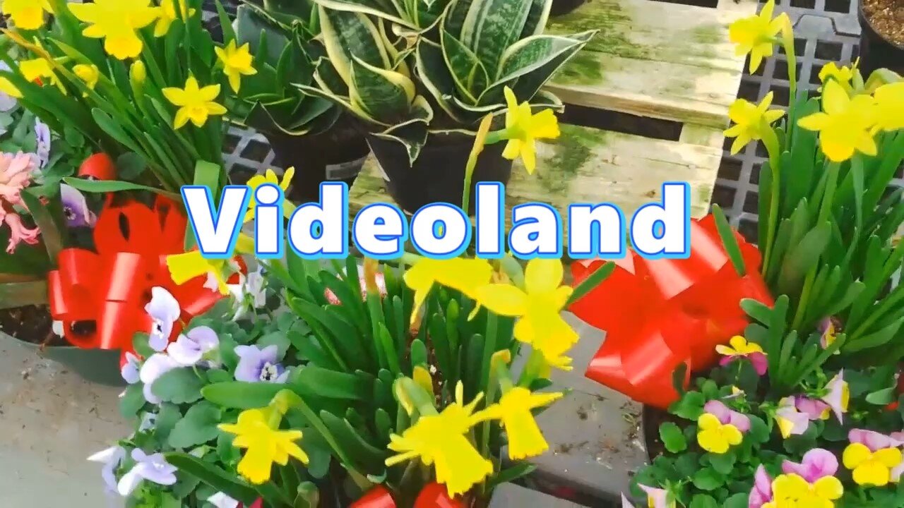 Just meditating with flowers!