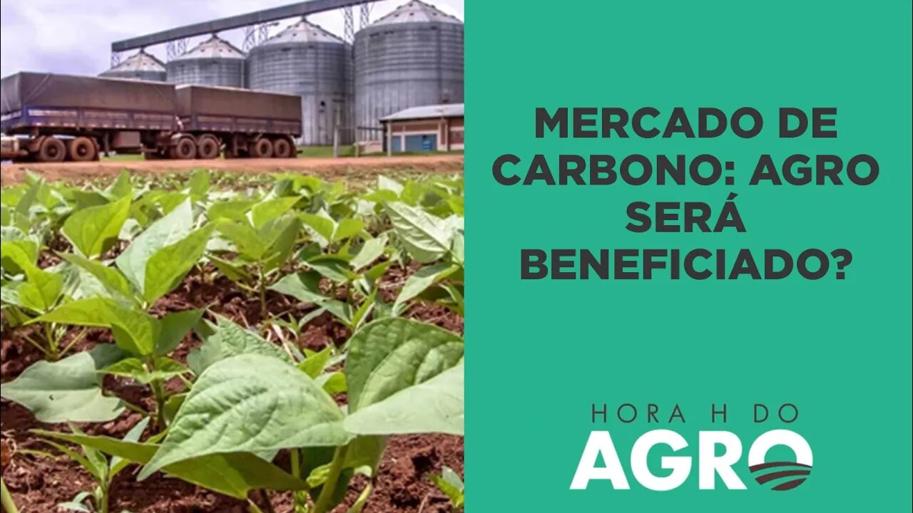 Governo quer regular mercado de carbono; agro será beneficiado? | HORA H DO AGRO