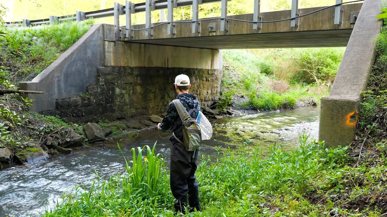 Creek fishing for Brown Trout and Rainbow Trout!