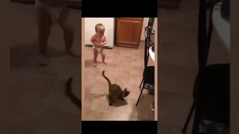 Cute Baby playing with Animals shorts baby Cool Baby Cute baby animals #shorts