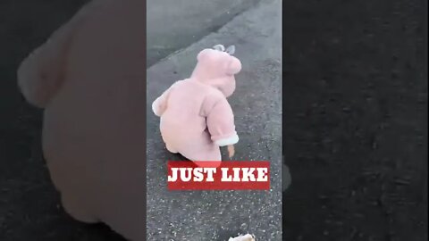 Best funny baby fall on the road suddenly 2022,Do you want more learn baby,#shorts #baby#funny #new
