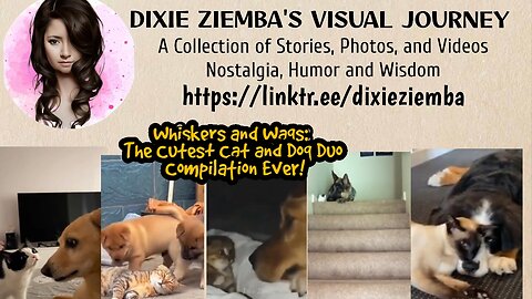 Whiskers and Wags: The Cutest Cat and Dog Duo Compilation Ever!