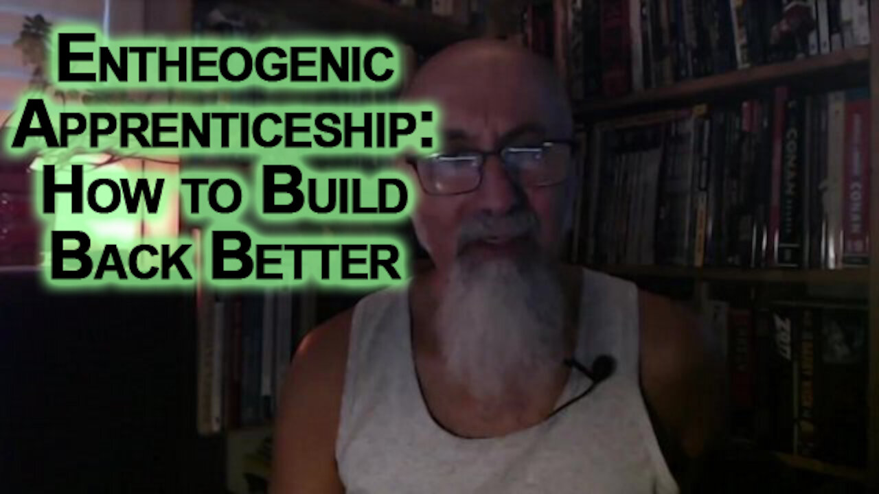 Entheogenic Apprenticeship Will Greatly Improve Our Societies: How to Build Back Better