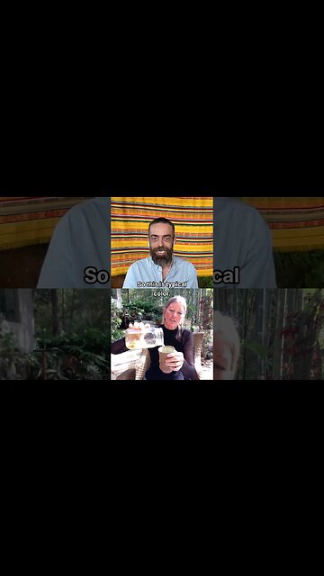 Bamboo Leaf Tea 🫖🎋 With Shanti from BambooLeafTea