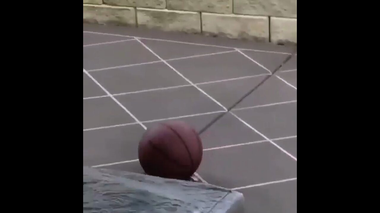 A bird playing basketball