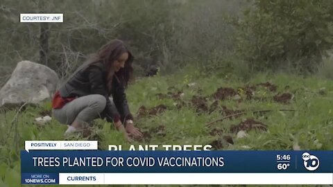 Non-profit offers a tree planting for those who get vaccine