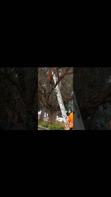 I got a new toy. Remember every child matter. #reconciliation