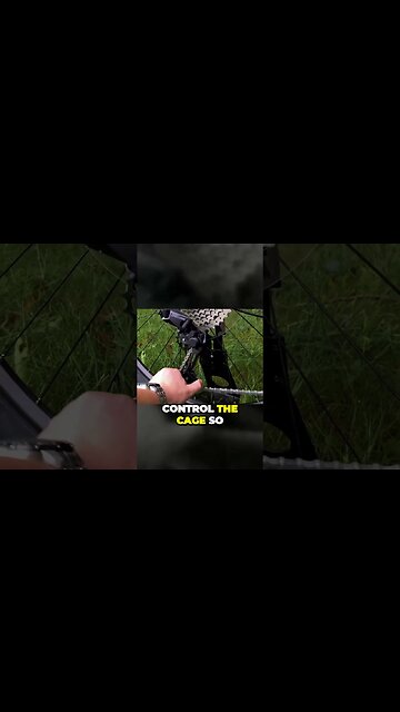 Maximize Your Bikes Performance with a Clutched Rear Derailleur