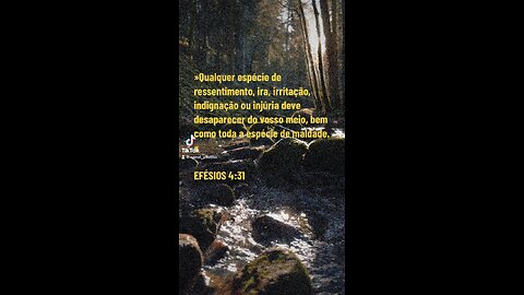 Efésios 4:31