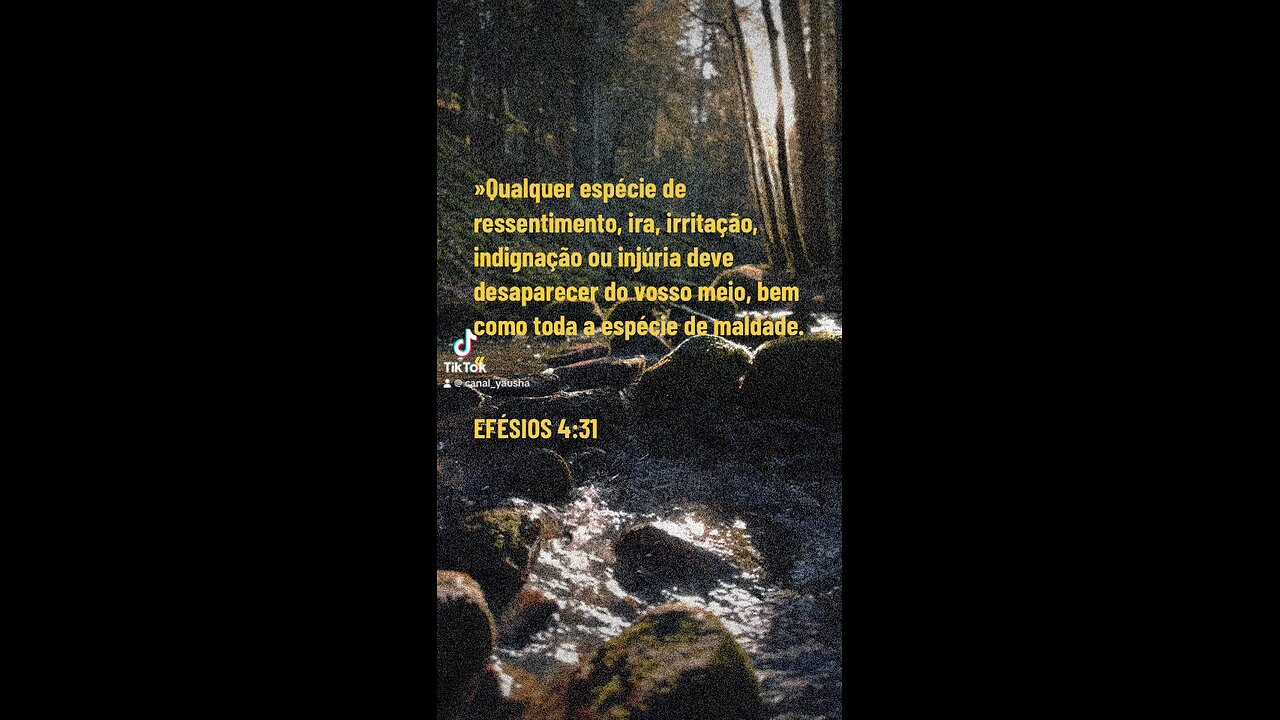 Efésios 4:31