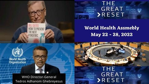 Bill Gates & WHO's Pandemic Plans and Amendments to Intl. Health Regulations