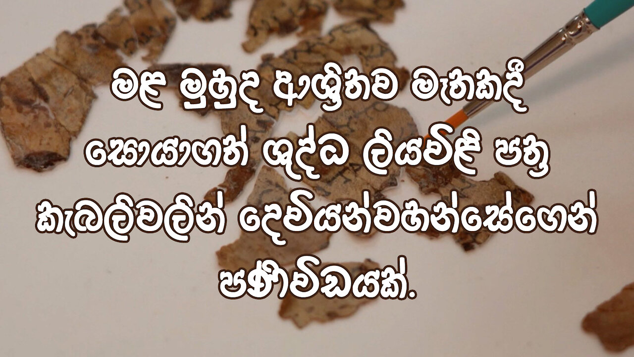 මළ මුහුද ආශ්‍රිතව මෑතකදී සොයාගත් ශුද්ධ ලියවිළි පත්‍ර කැබලිවලින් දෙවියන්වහන්සේගෙන් පණිවිඩයක්.