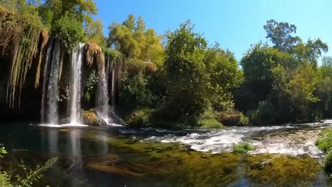 copyright free music | Copyright-free nature video Download | Copyright-free background video nature