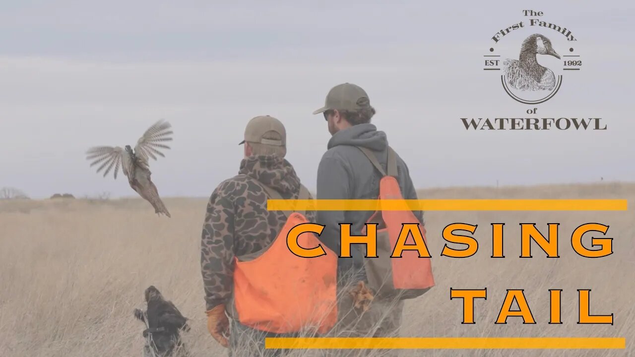 The First Family of Waterfowl: Season 2 Episode 5 - Chasing Tail