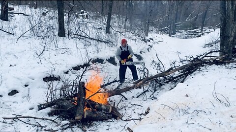 FIREWOOD - Cut, Buck, & Burn