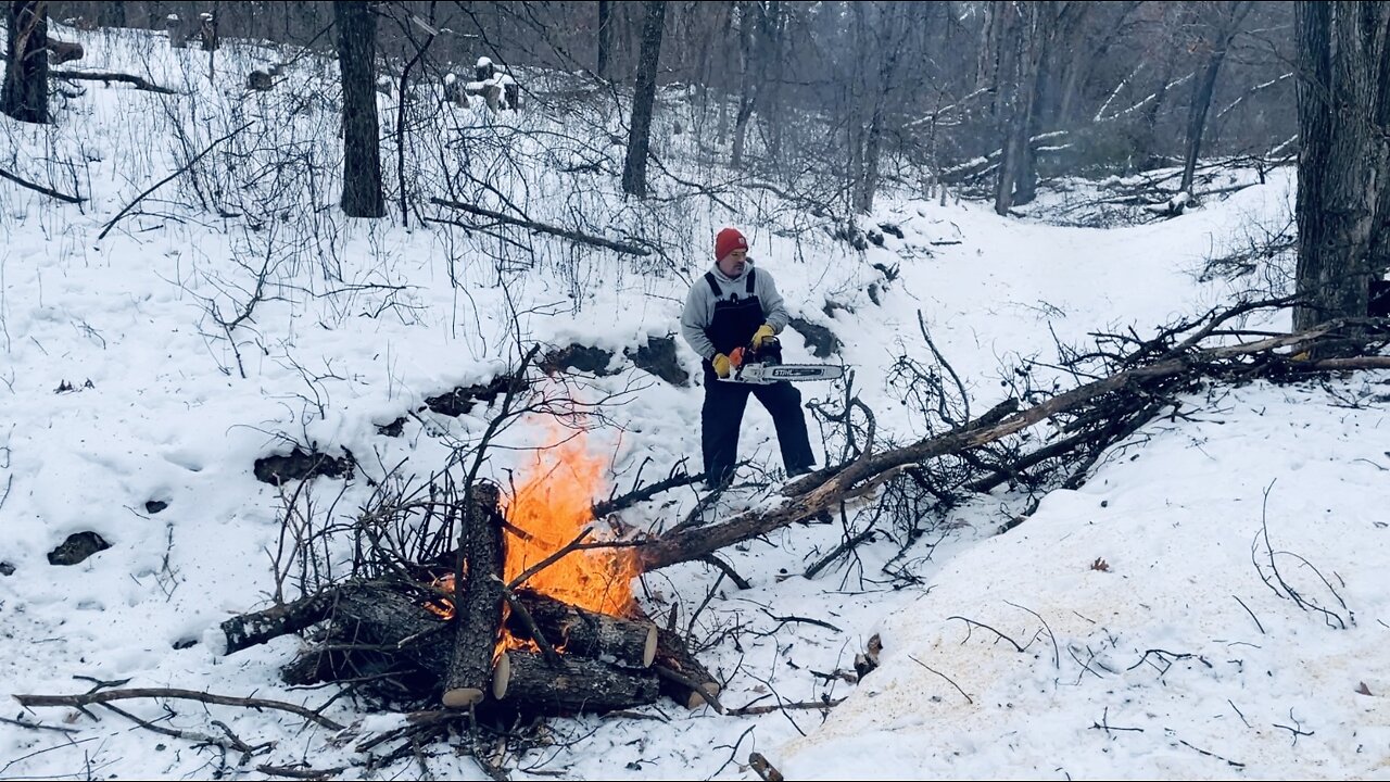 FIREWOOD - Cut, Buck, & Burn