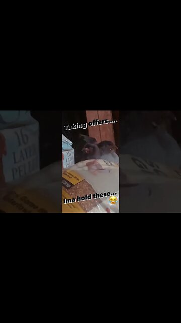 Taking offers.. Ima hold these 😂