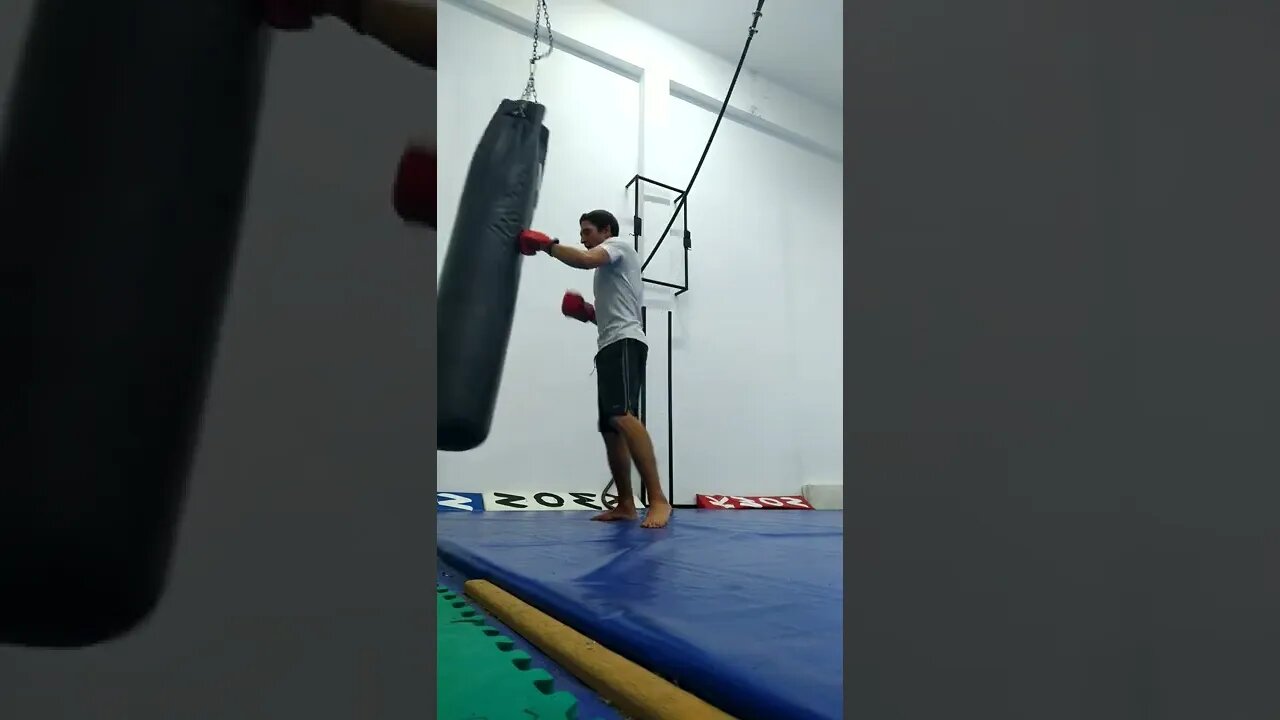 Kick, punch, Elbow and Knee The Bag (19)