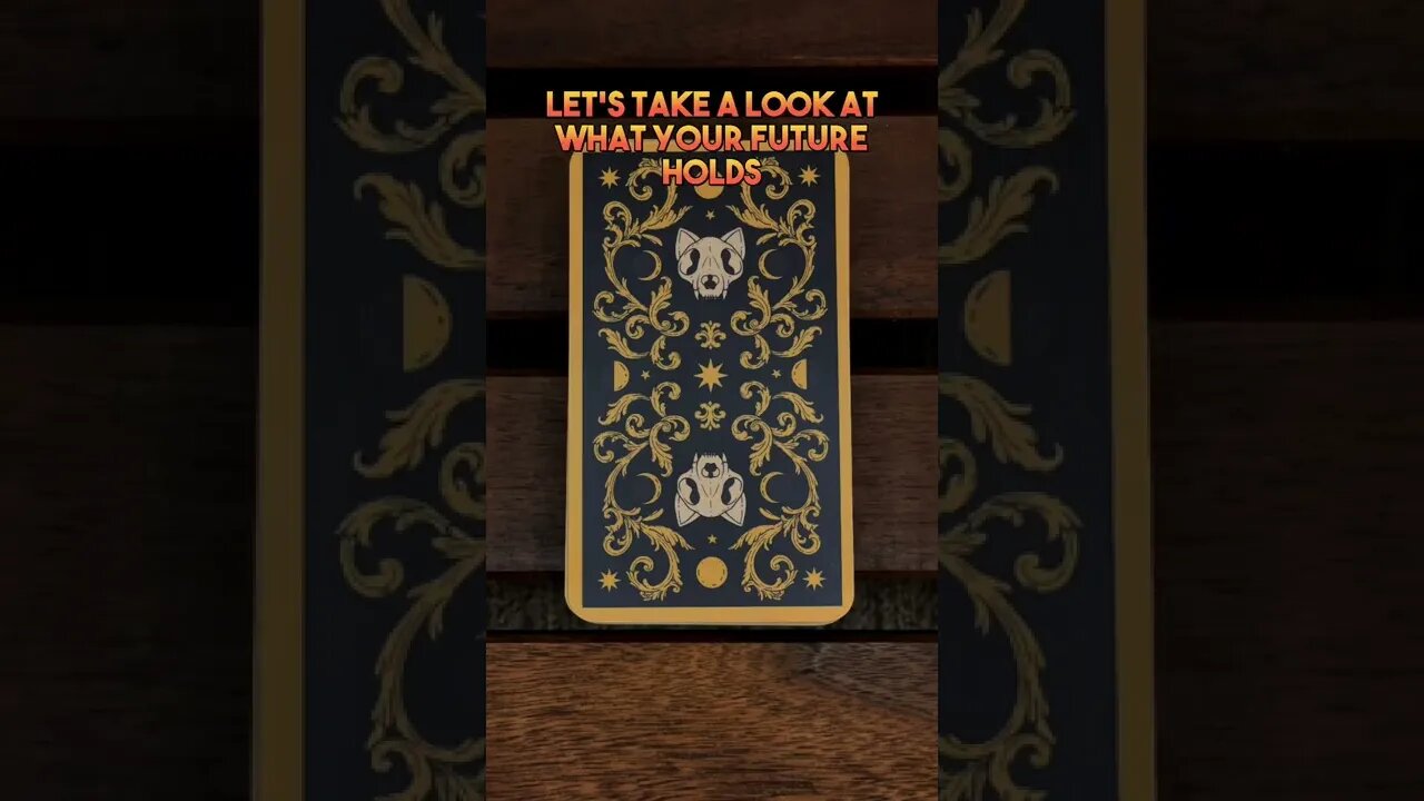 🎃2 Days🎃 #cat #kitten #blackcat #leonthecatdad #halloween #tarot