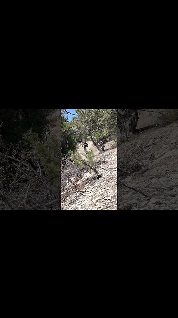 Flow trail on the edge of Zion! ZMR is too fun #mtb #emtb #ytshorts