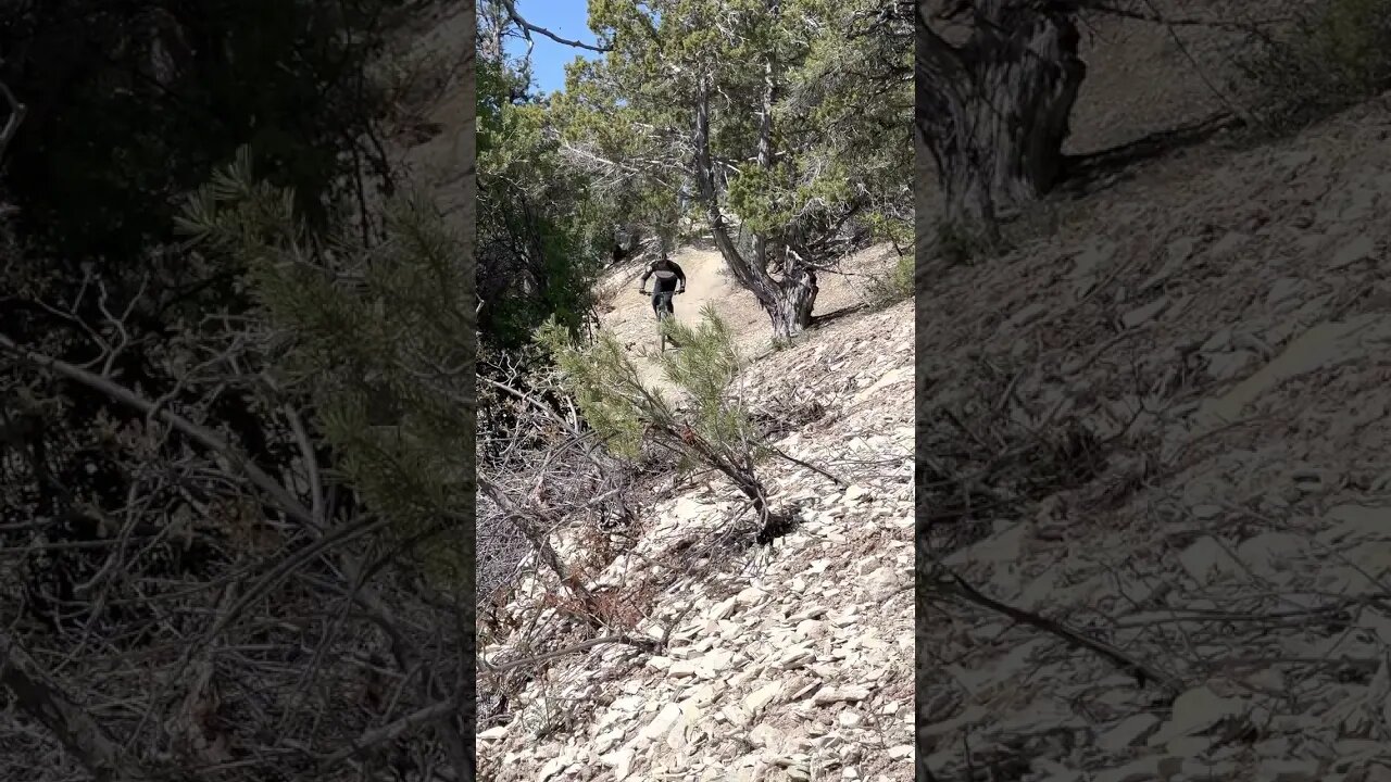 Flow trail on the edge of Zion! ZMR is too fun #mtb #emtb #ytshorts