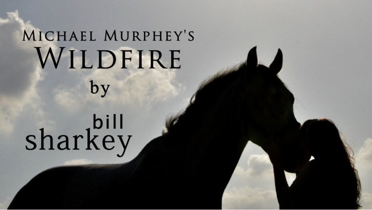 Wildfire - Michael Murphey (cover-live by Bill Sharkey)