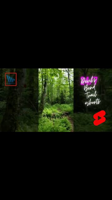 Devil's Bend Trail #shorts