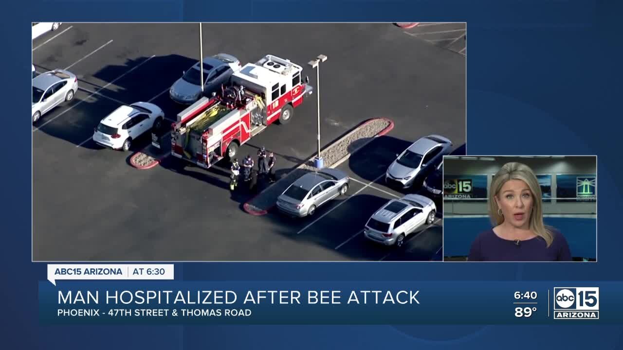 Man hospitalized after bee attack in Phoenix