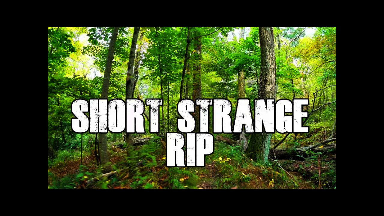 Short, Strange Rip (SugarREEE Cinematic FPV)