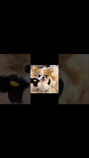 UNBELIEVABLE: You'll Never Guess What This Cute Animal Does Next!