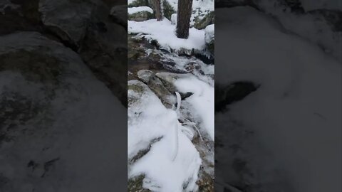 Arroyo y Cascada de La Chorranca en Pinar y Monte de Valsaín (Segovia, España)