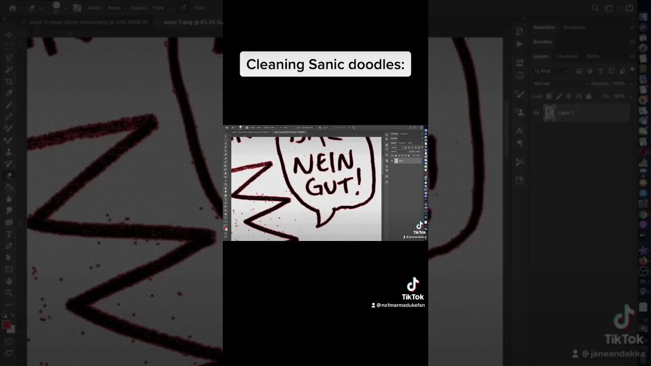 Cleaning Sanic