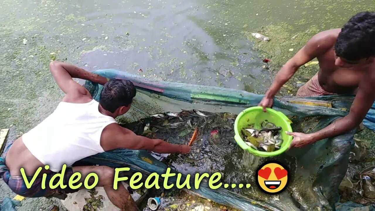 Pona fishing and selling/৩ মাসে লাভ ২ লাখ/ fish of Riverland-par 8