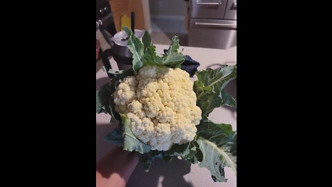 Garden, Pool, and Cauliflower