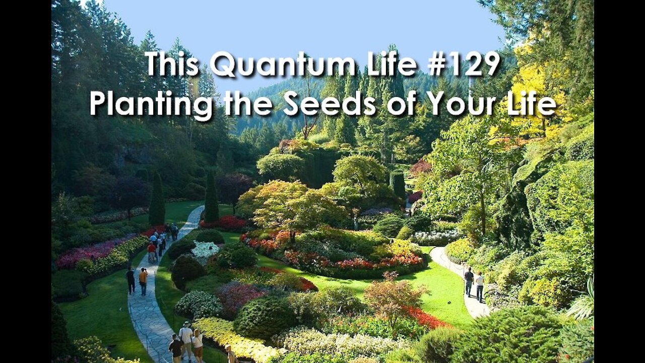 This Quantum Life #129 - Planting the Seeds of Your Life
