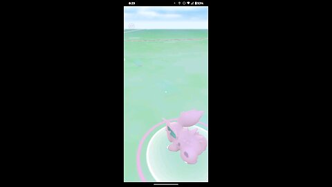 catching Nidorino again