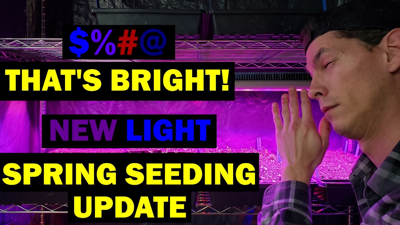 Come Seed With Me (Part4) | New Grow Lights for Cold Spells in the Greenhouse