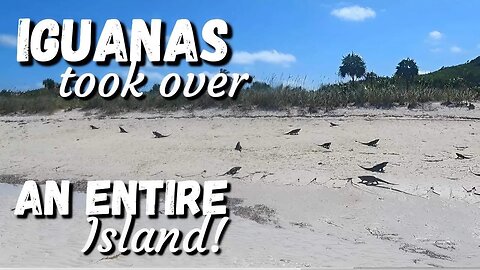 Highborne Cay and Iguana Island, Ep-201