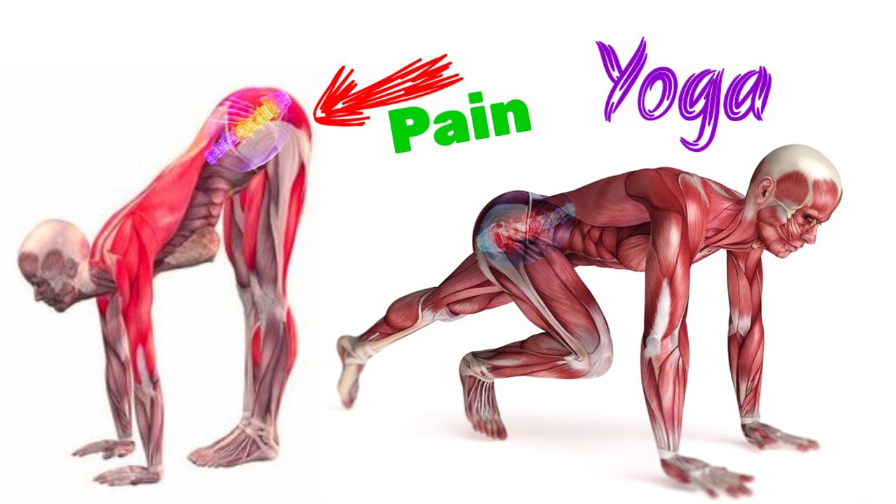 yoga for back pain relief exercises