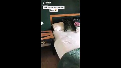 cute cat